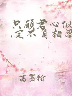 只愿君心似我心,定不负相思意对应的诗句