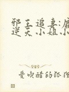 邪王追妻:废材逆天小姐小说正版