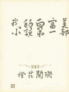 我的白富美老婆小说第一部