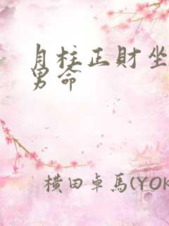 月柱正财坐正财男命