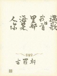 人海里我遇见了你是哪首歌的歌词