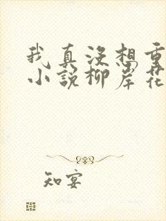 我真没想重生啊小说柳岸花又明