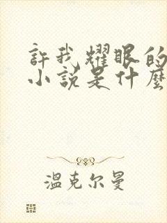 许我耀眼的原著小说是什么