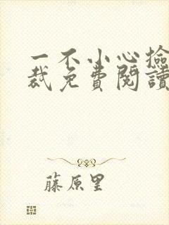 一不小心捡了总裁免费阅读