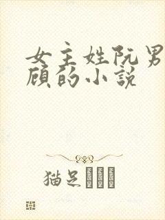 女主姓阮男主姓顾的小说