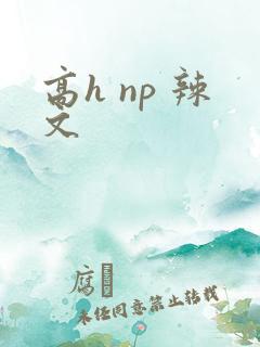 高h np 辣文