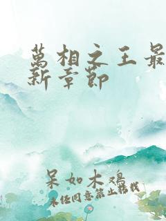 万相之王最快更新章节