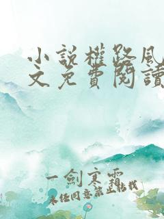 小说权路风云全文免费阅读