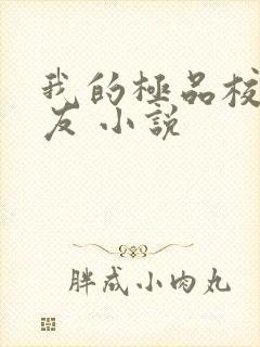 我的极品校花女友 小说
