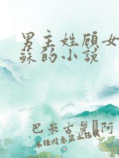 男主姓顾女主姓苏的小说