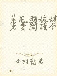 叶风赵婉婷小说免费阅读全部