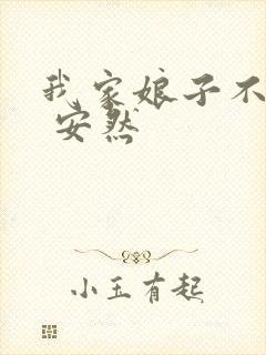 我家娘子不对劲 安然