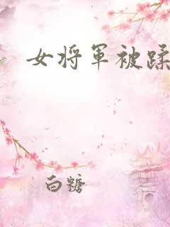 女将军被蹂躏