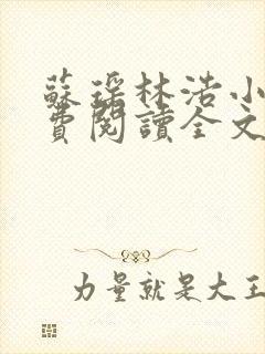 苏瑶林浩小说免费阅读全文最新章节