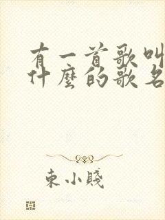 有一首歌叫曾经什么的歌名