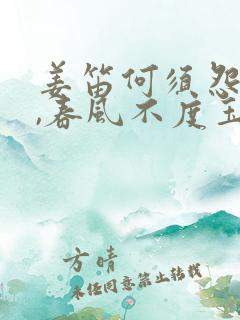 姜笛何须怨杨柳,春风不度玉门关