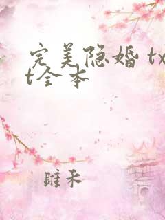 完美隐婚 txt全本