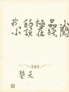 我的极品小姨 小说在线阅读