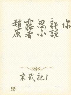 赵露思许你耀眼原著小说