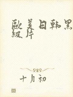 欧美日韩黑人一级片