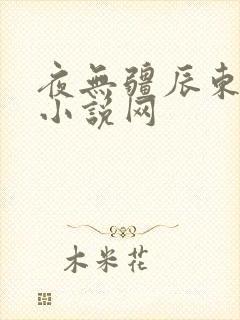 夜无疆辰东顶点小说网