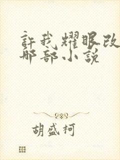 许我耀眼改编自哪部小说