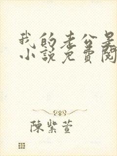 我的老公是酷哥小说免费阅读