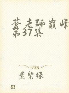 苍老师巅峰之作第37集