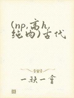 (np,高h,纯肉)古代