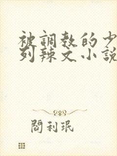 被调教的少妇系列辣文小说