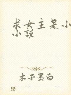 求女主是小三的小说