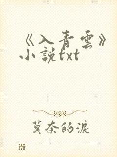 《入青云》原著小说txt