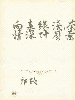 向来缘浅,奈何情深什么意思