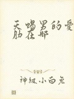 天蝎男的爱情软肋在哪