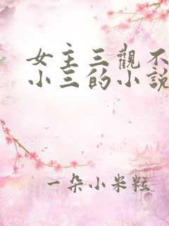 女主三观不正当小三的小说