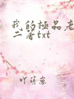 我的极品老婆小二著txt