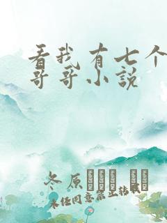 看我有七个大佬哥哥小说