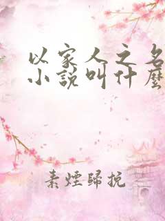 以家人之名原著小说叫什么名字