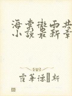 海棠微雨共归途小说最新章节