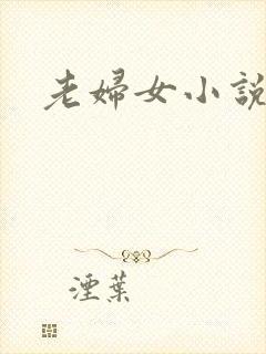 老妇女小说
