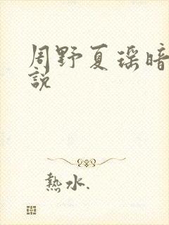 周野夏瑶暗恋小说