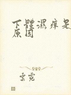 下体湿痒是什么原因