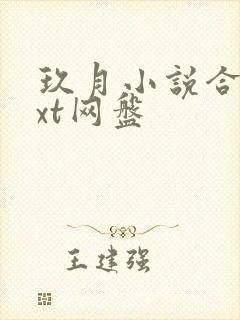 玖月小说合集txt网盘