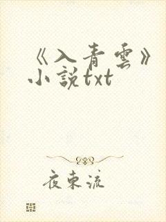 《入青云》原著小说txt