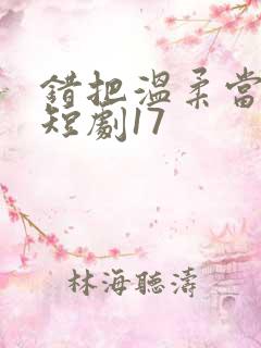 错把温柔当情深短剧17