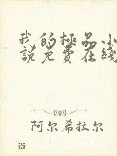 我的极品小姨小说免费在线阅读完整版