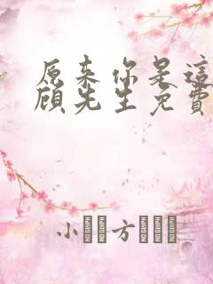 原来你是这样的顾先生免费全文阅读