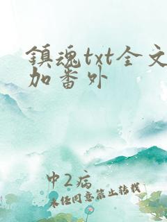 镇魂txt全文加番外