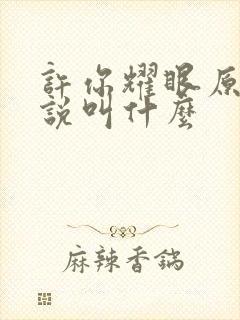 许你耀眼原著小说叫什么