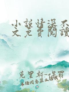 小说情深不负全文免费阅读